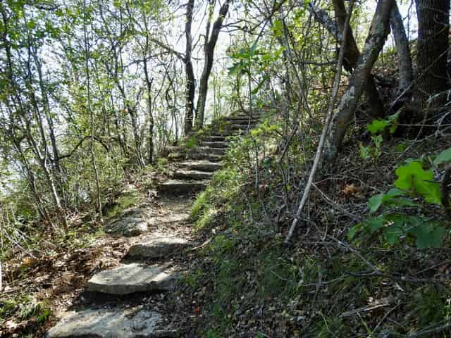 Wildlife Sanctuary