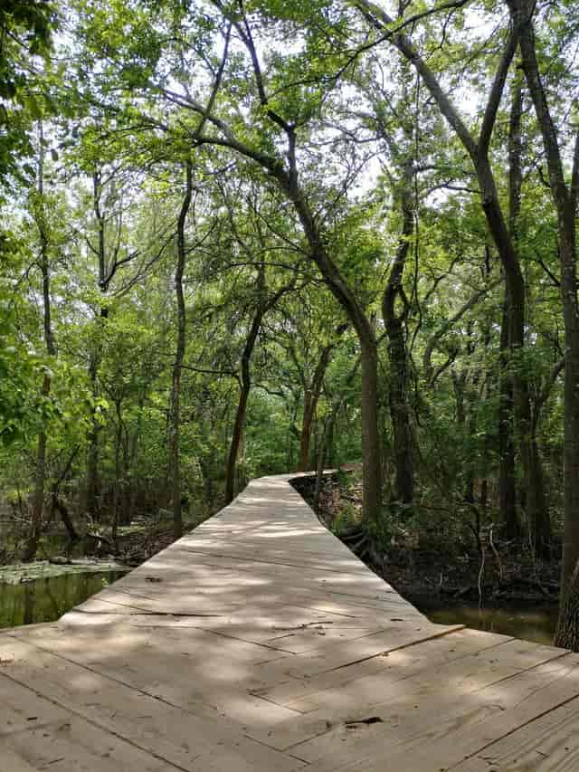 Murray A. James Auditorium: serene wooded pathway ideal for outdoor events and wellness retreats.