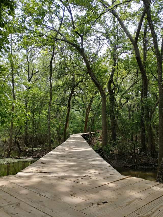 Murray A. James Auditorium: serene wooded pathway ideal for outdoor events and wellness retreats.