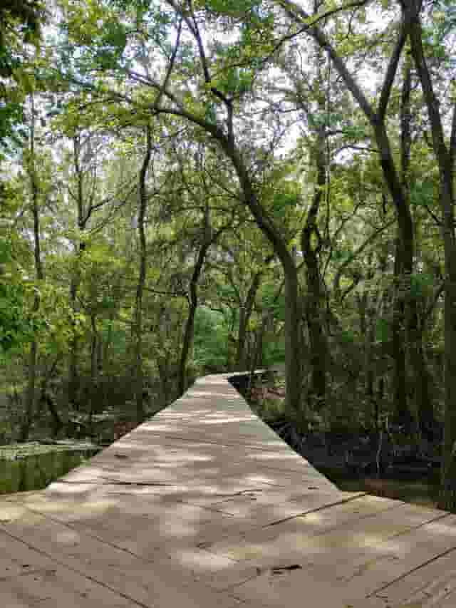 Hiking Trails