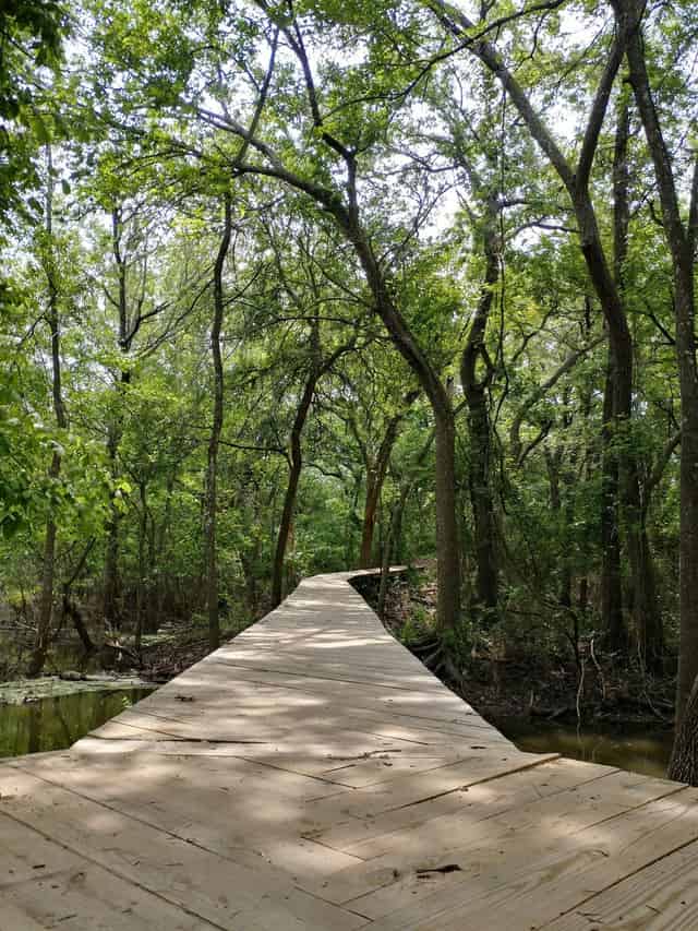 Hiking Trails