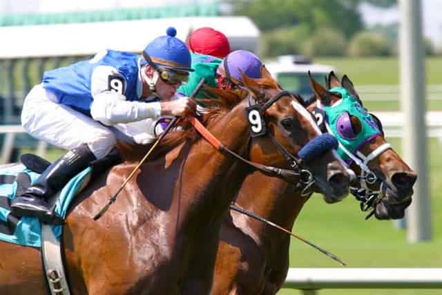 Lone Star Park