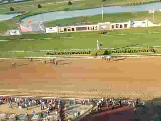 Suites
