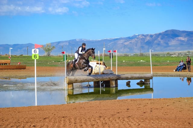 Texas Rose - USEA, United States ...