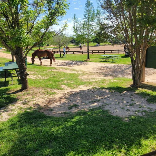 Cross Country Course