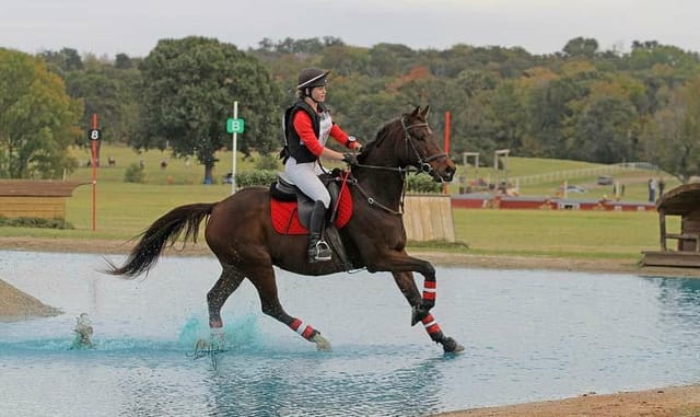 Outdoor equestrian event at Texas Rose Horse Park with horse and rider over obstacles.
