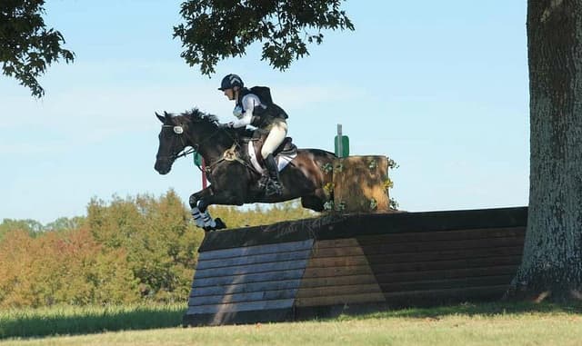 Outdoor show arenas