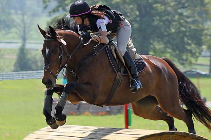 Equestrian event at Texas Rose Horse Park showcasing dynamic horseback riding action.