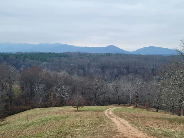 Biltmore