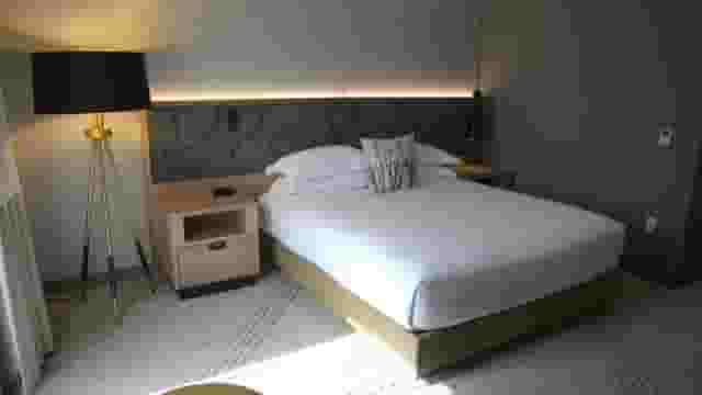 Maple Suite