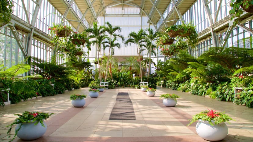 "Jewel Box indoor event space with greenery, perfect for corporate meetings and weddings."