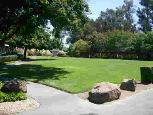 Outdoor Lawn
