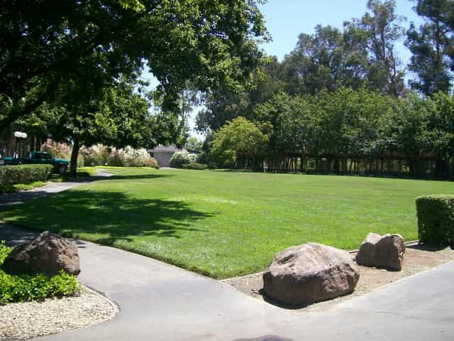 Spacious outdoor lawn at Napredak Hall, perfect for weddings and events.