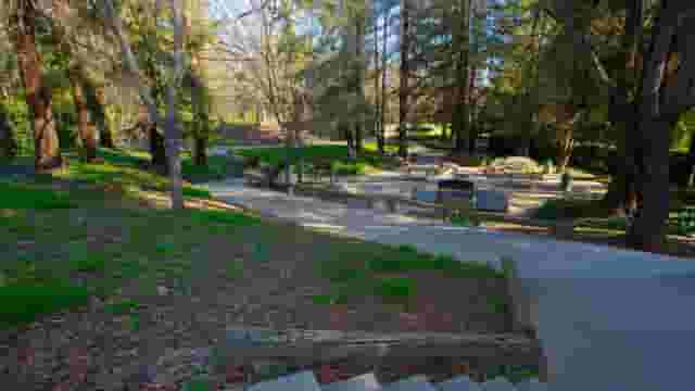 Creek Overlook Pavilion (Kelley Park)