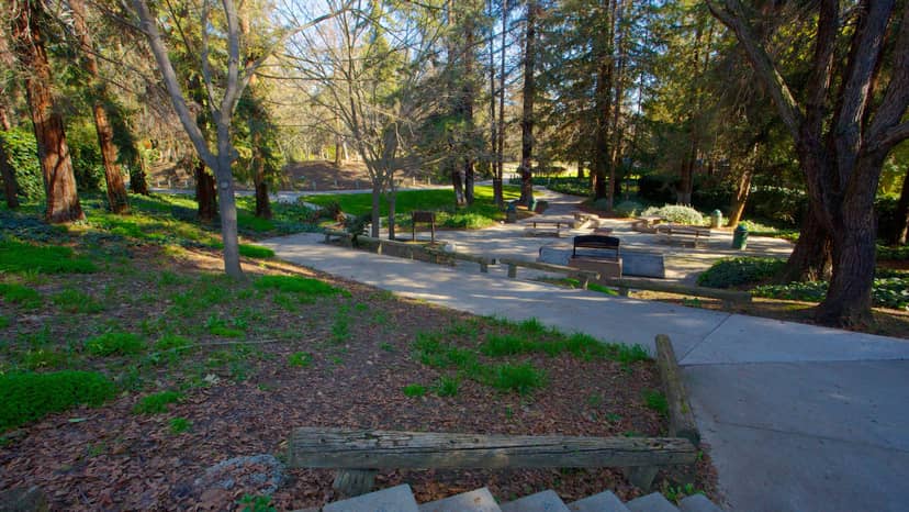 Creek Overlook Pavilion in San José: Ideal venue for gatherings and team-building events.
