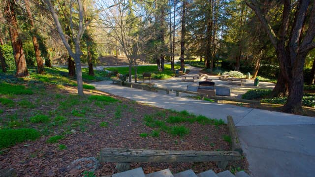 Creek Overlook Pavilion (Kelley Park)