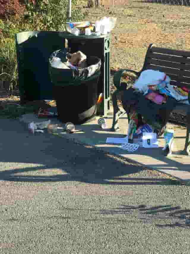 Picnic Sites