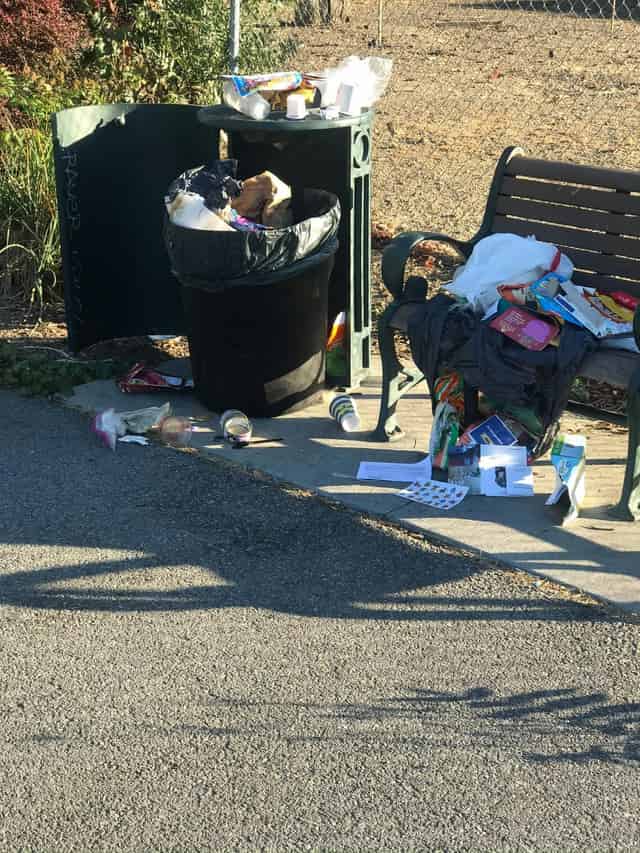 Picnic Sites