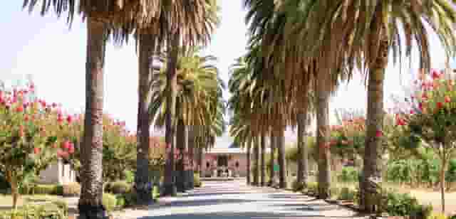 Vineyard Terrace
