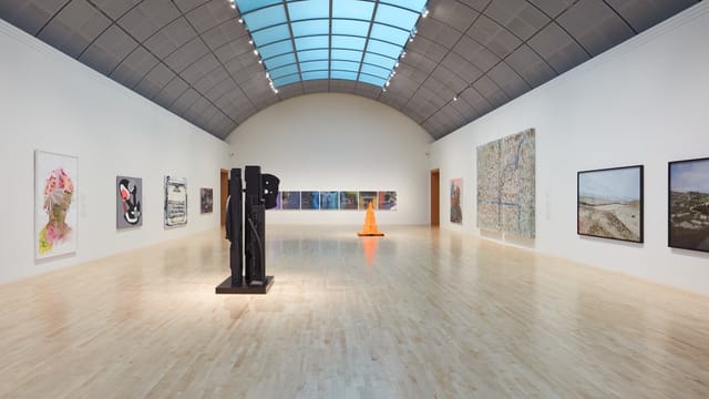 Firelei Báez at San José Museum of Art ...