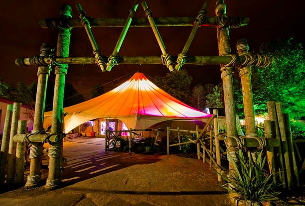 Tree Tops Pavilion at West Midlands Safari Park, vibrant tented venue for events.