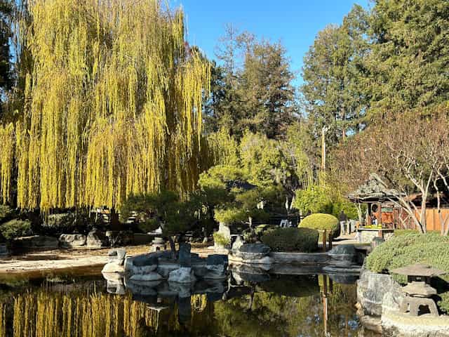 Okayama Room at Kelley Park: serene pond and weeping willows for outdoor events.