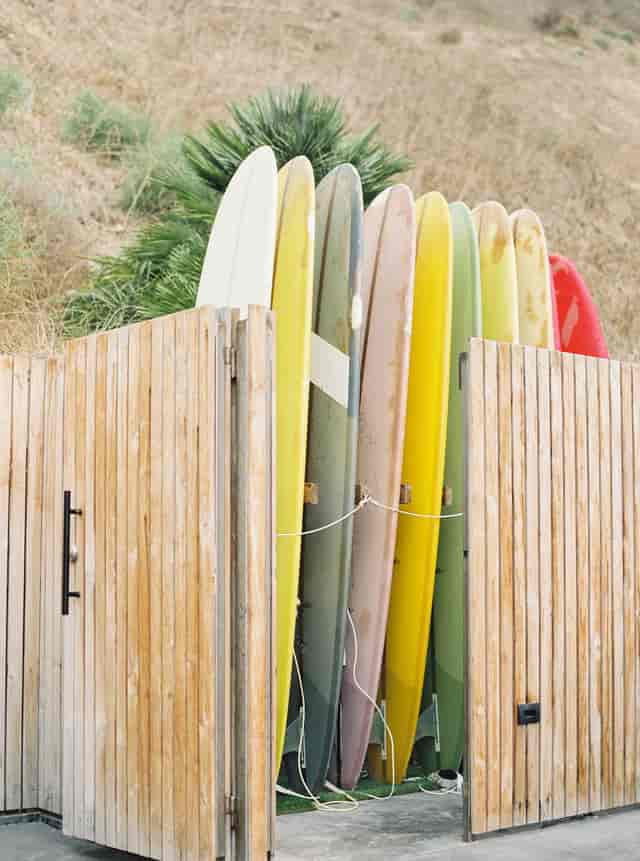Safari Room Reservations | Bliss Beach