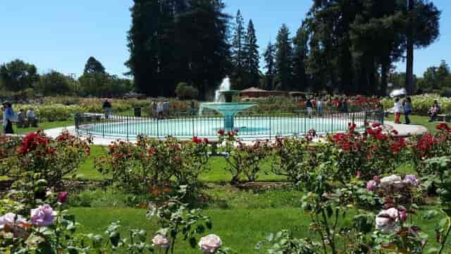Rose Garden neighborhood San Jose ...