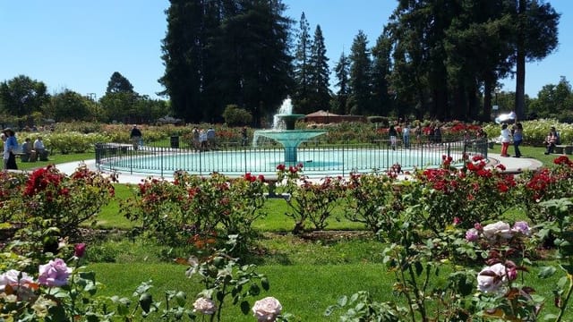 "San Jose Municipal Rose Garden fountain, ideal for weddings and outdoor events."