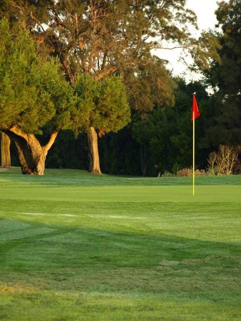 Sunnyvale Municipal Golf Course driving range with manicured greens, perfect for corporate retreats.