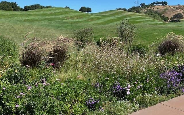 Outdoor patio at Cinnabar Hills Golf Club, perfect for events among lush greenery.