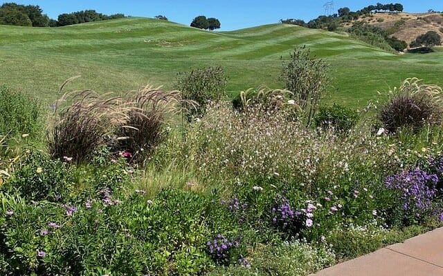 Cinnabar Hills Golf Club - All You Need ...