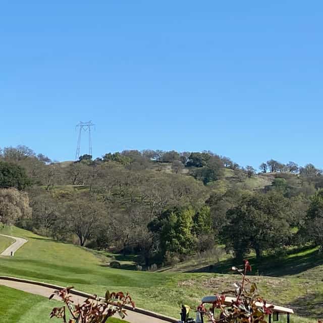 Serene outdoor setting at The Grille, ideal for corporate retreats and team-building events.
