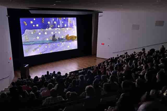 Brown Auditorium Theater in Houston, spacious seating, ideal for presentations and screenings.