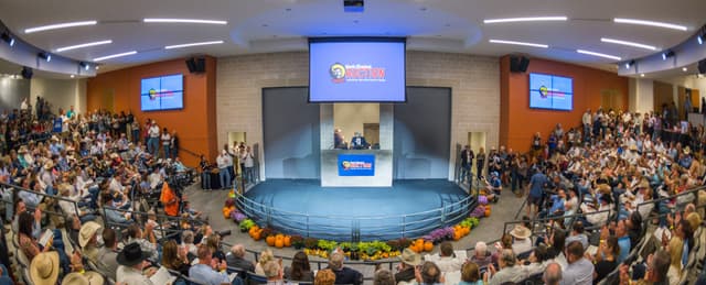 Briscoe Carpenter Livestock Pavilion