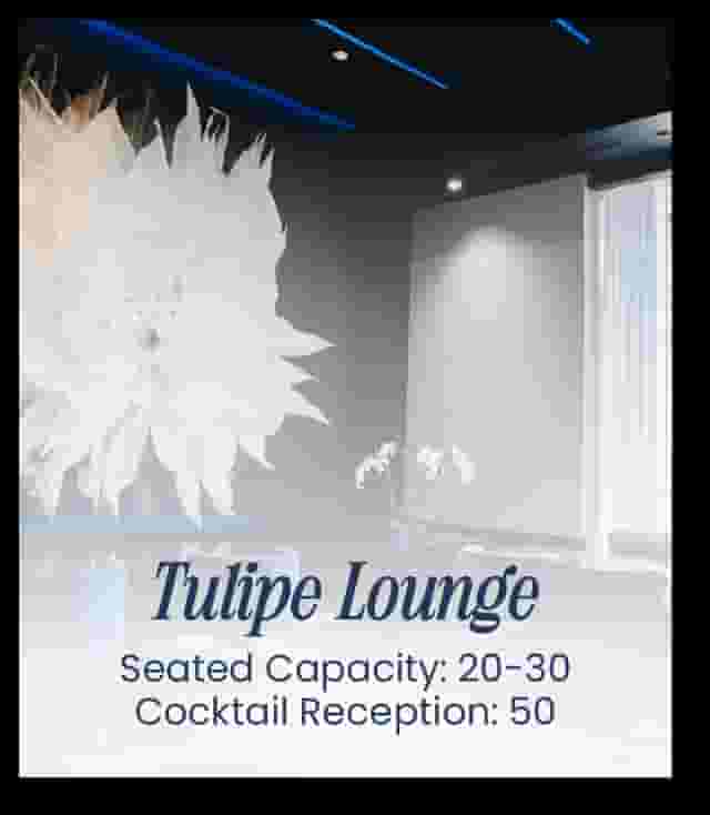 Tulipe Lounge