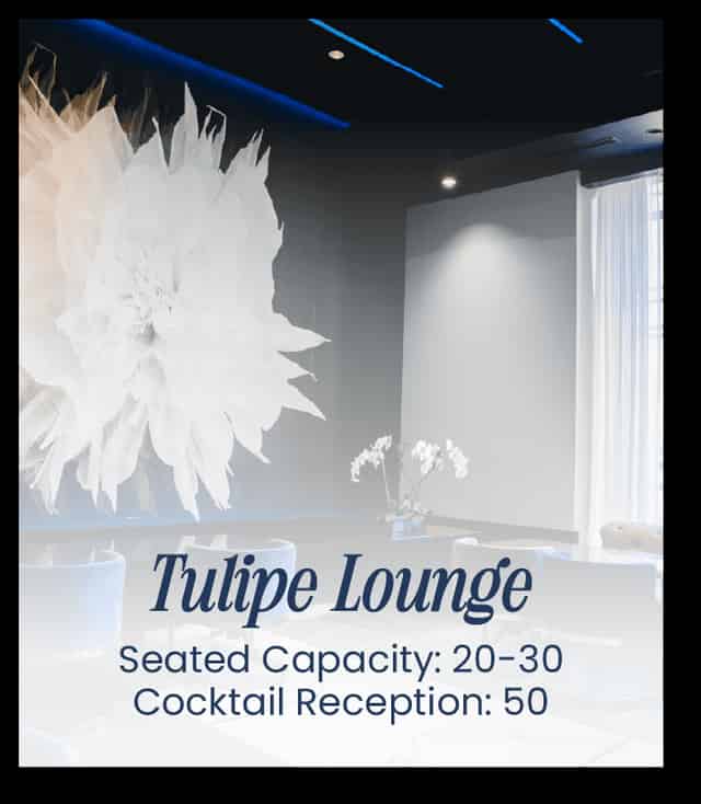 Tulipe Lounge