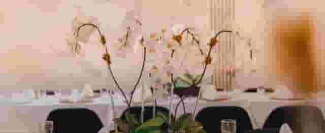 Tulipe Lounge