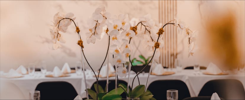 Elegant white orchids centerpiece at Tulipe Lounge for upscale events.
