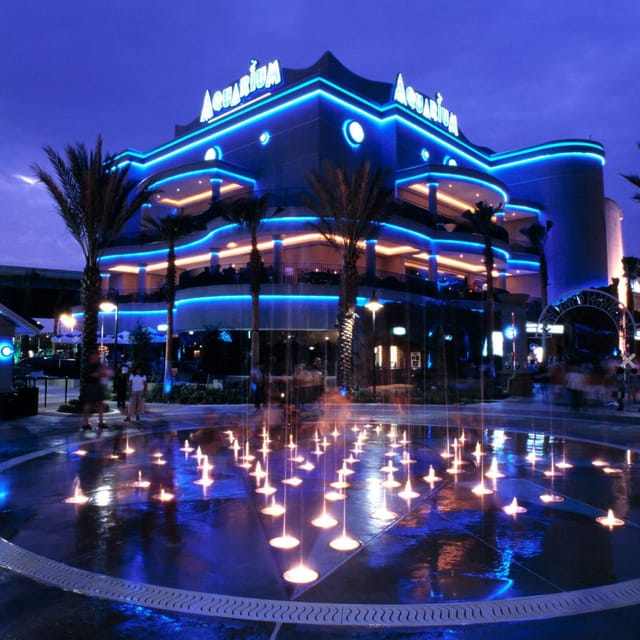 Vibrant family restaurant with blue lighting, ideal for events and receptions in Downtown Aquarium.