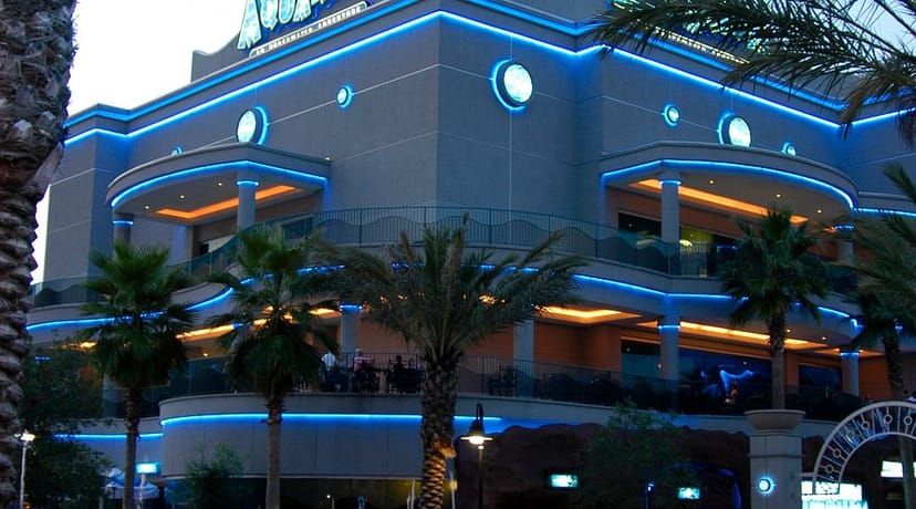 Modern family restaurant in Downtown Aquarium with vibrant blue lighting and outdoor patios.