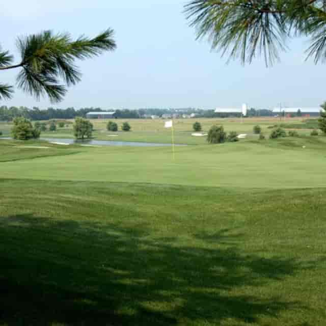 Lush Houston Oaks Golf Course for corporate outings and networking events.