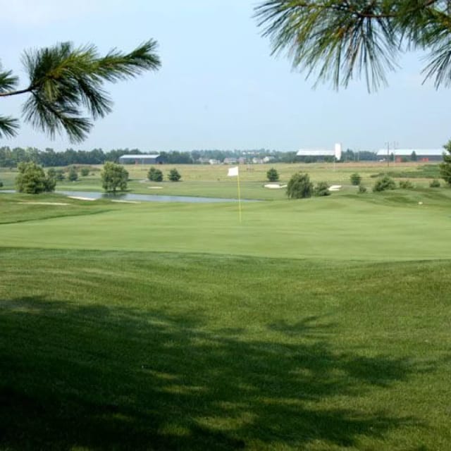 Lush Houston Oaks Golf Course for corporate outings and networking events.