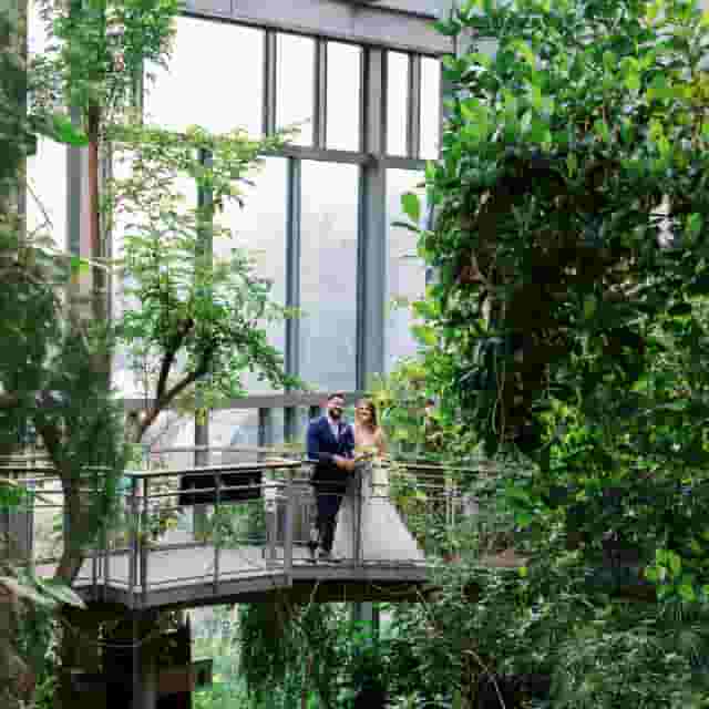 Butterfly House