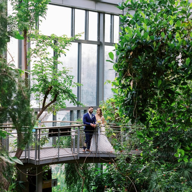 Butterfly House venue in Texas, featuring lush greenery for romantic weddings.