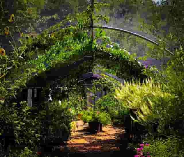 Butterfly House