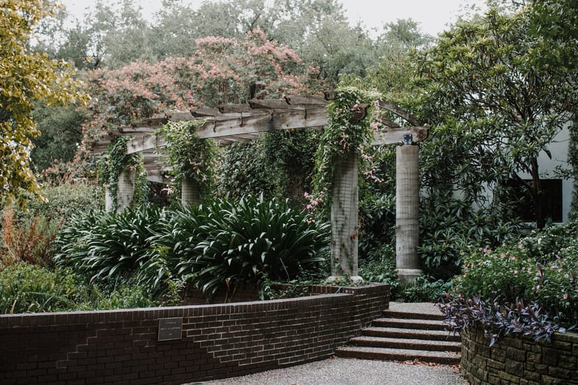 Circular Lawn at Texas Discovery Gardens, lush greenery perfect for weddings and events.