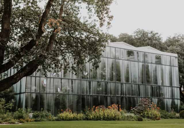 Butterfly House