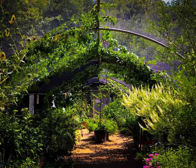 Butterfly House in Texas Discovery Gardens: vibrant greenhouse for events and retreats.