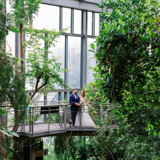 Butterfly House